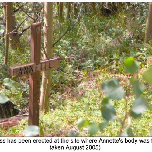 Annette-Schnee-memorial-thegem-gallery-metro