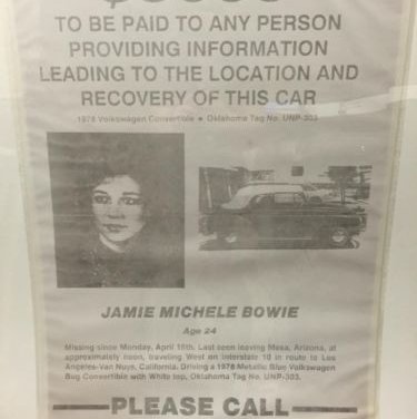 Jamie-Bowie-reward-poster-thegem-gallery-metro